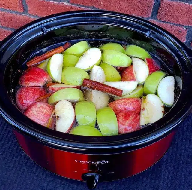 EZPZ Crockpot Apple Cider